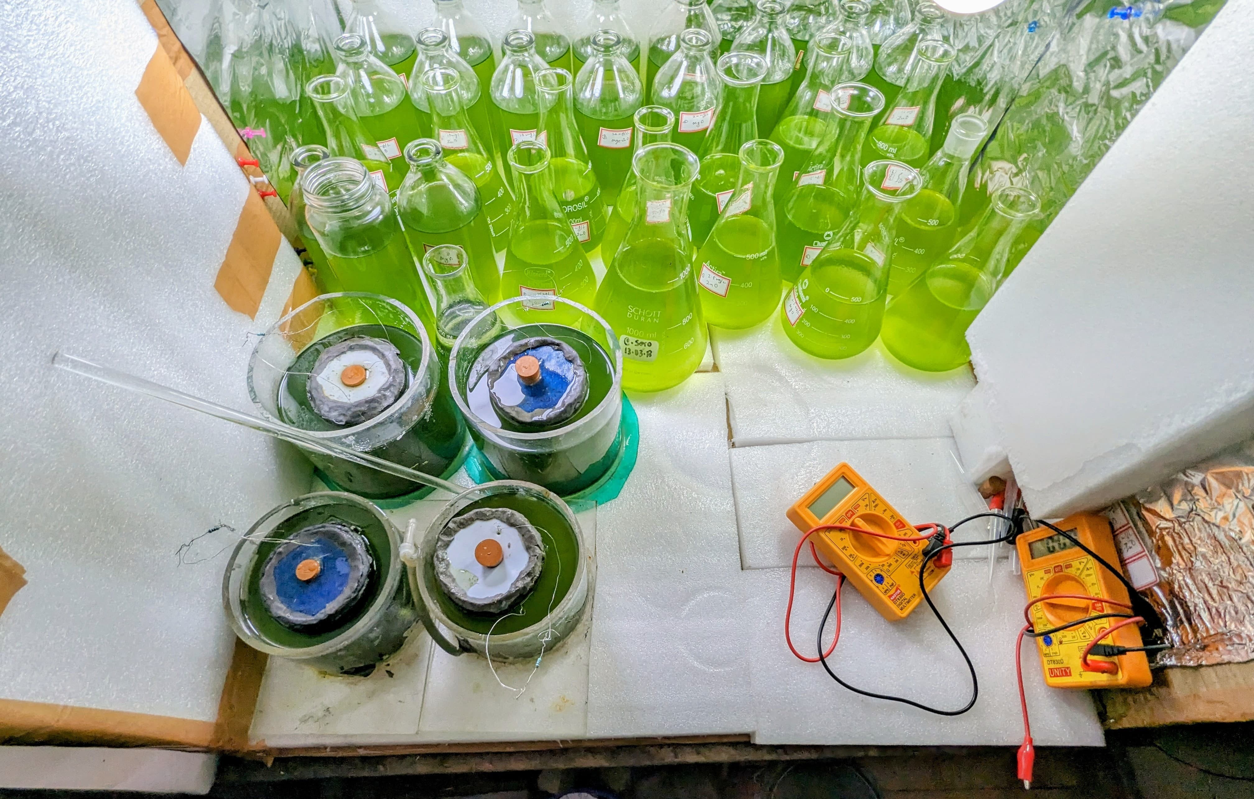 Algal Culture Array